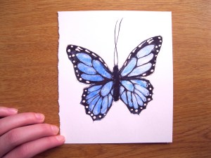 BlueButterflyWC